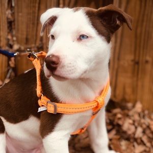 Meet your Posher, Timothy